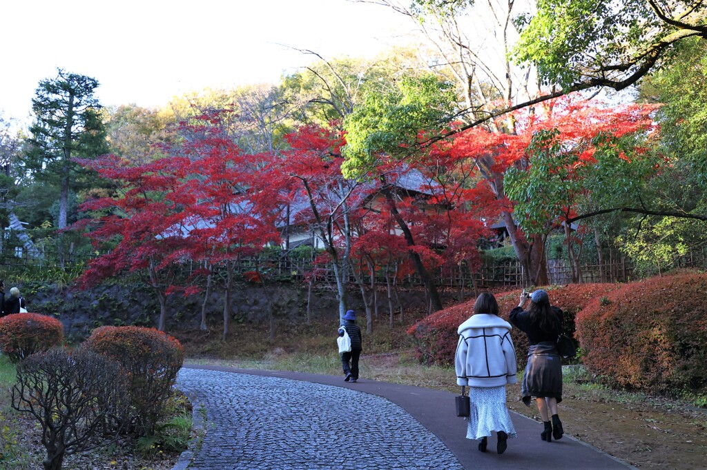 日本民家園方面
