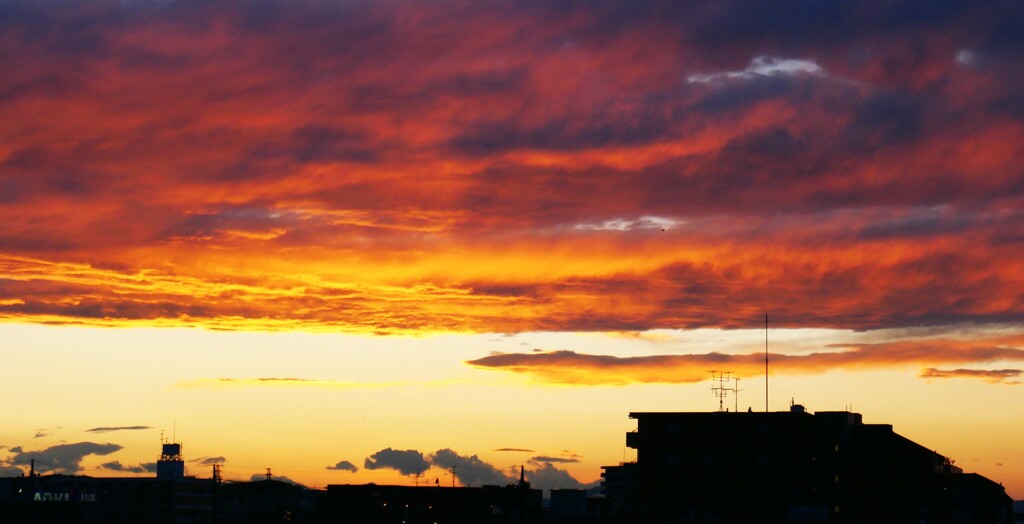マリー・アントワネットか