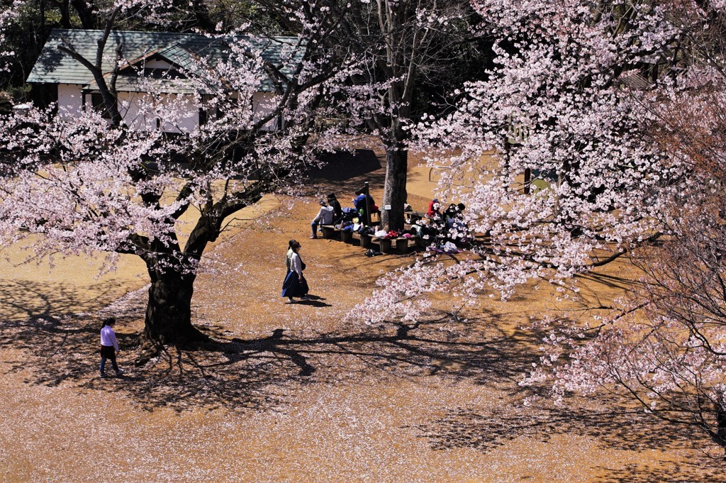 展望台から