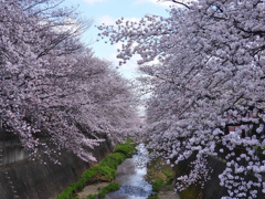 う～ん