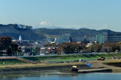 多摩川の鉄橋から