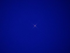 春を告げる星