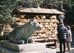 牛さん