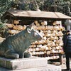 牛さん