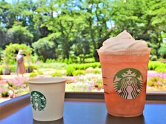 桃 MORE フラペチーノ