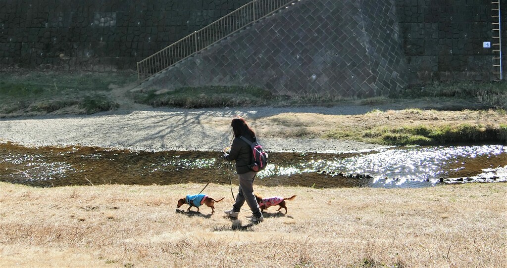 川辺の散歩