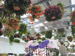 HANA/BIYORI館