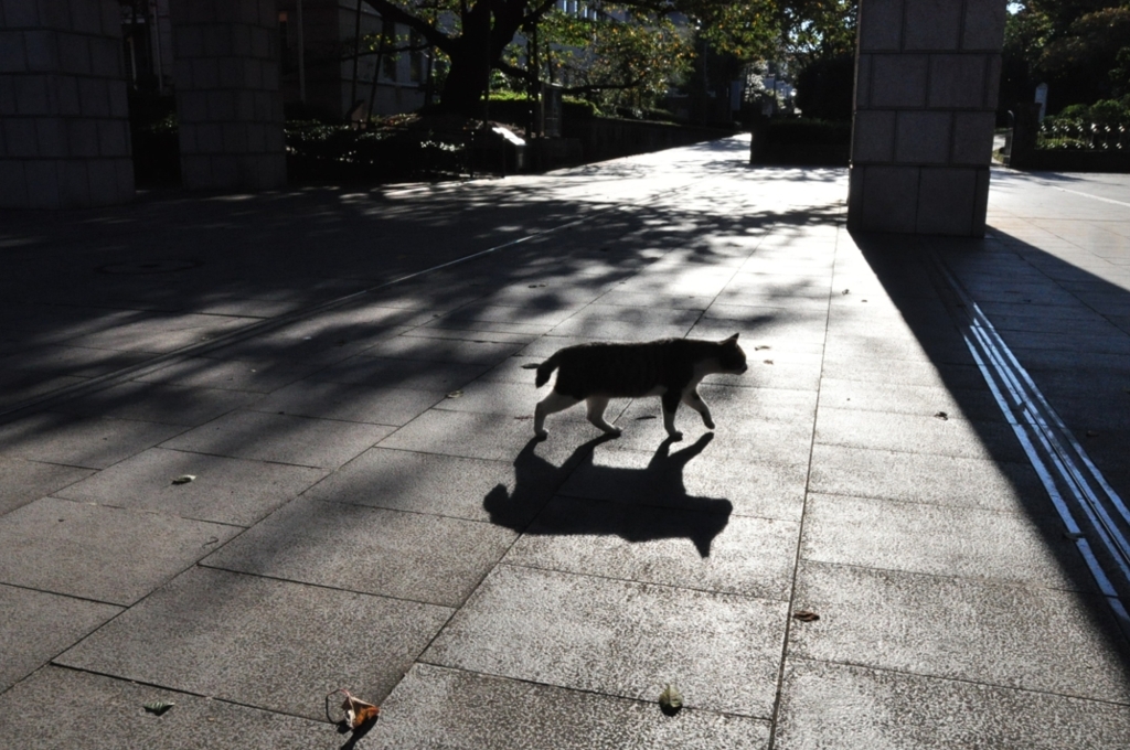 横浜「港の見える丘公園」の霧笛橋