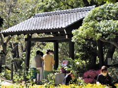 美しい女性たち