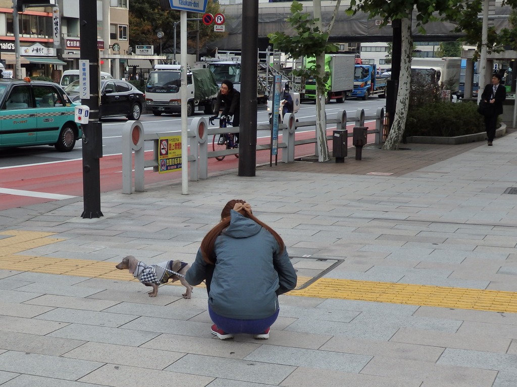 東京日和