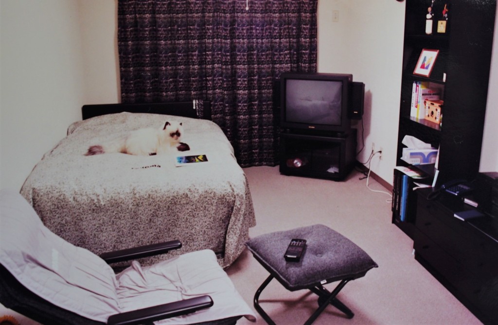 平成元年は自立元年だった