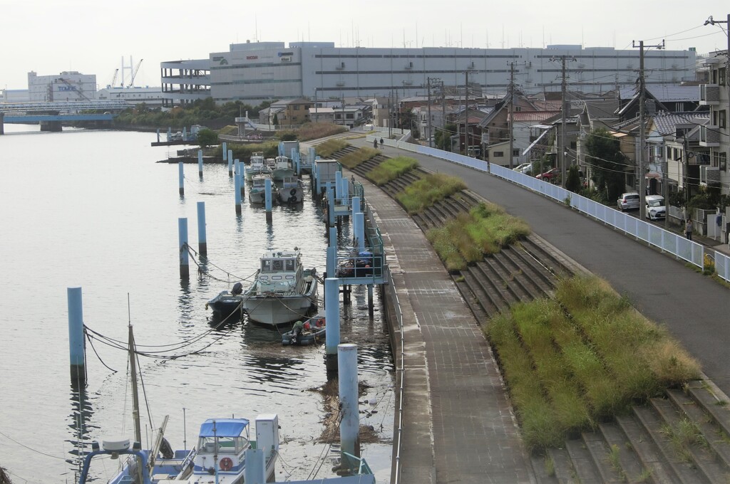 鶴見川
