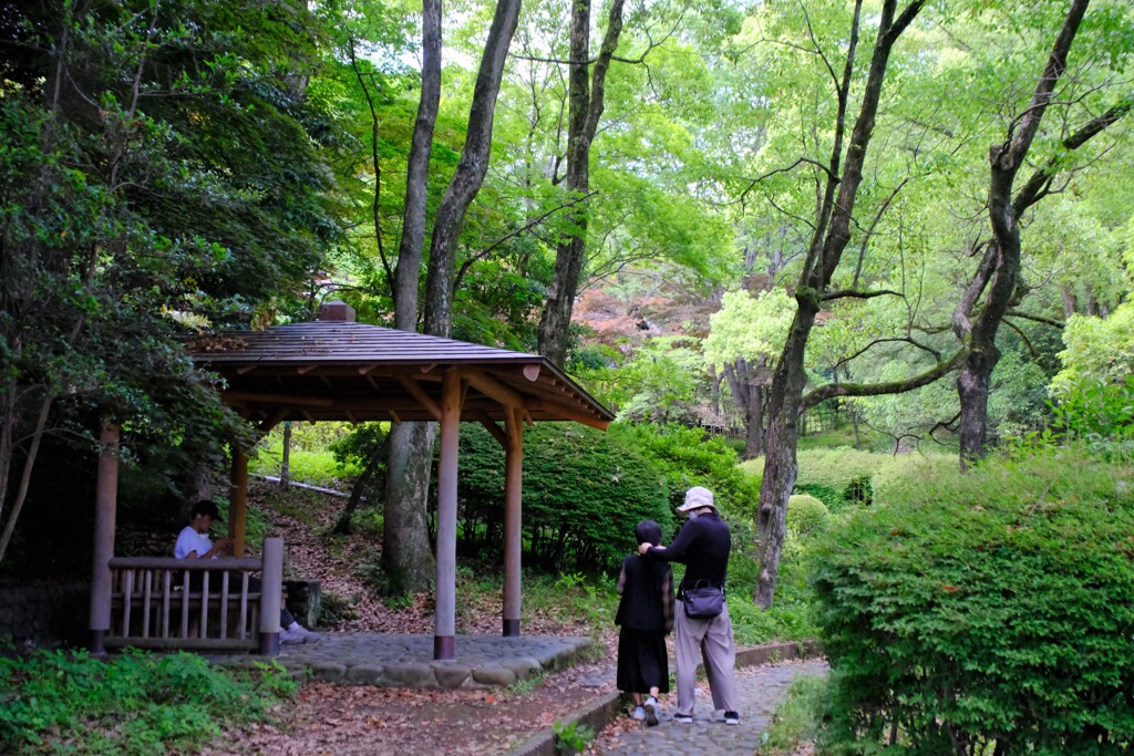 青葉若葉の生命力