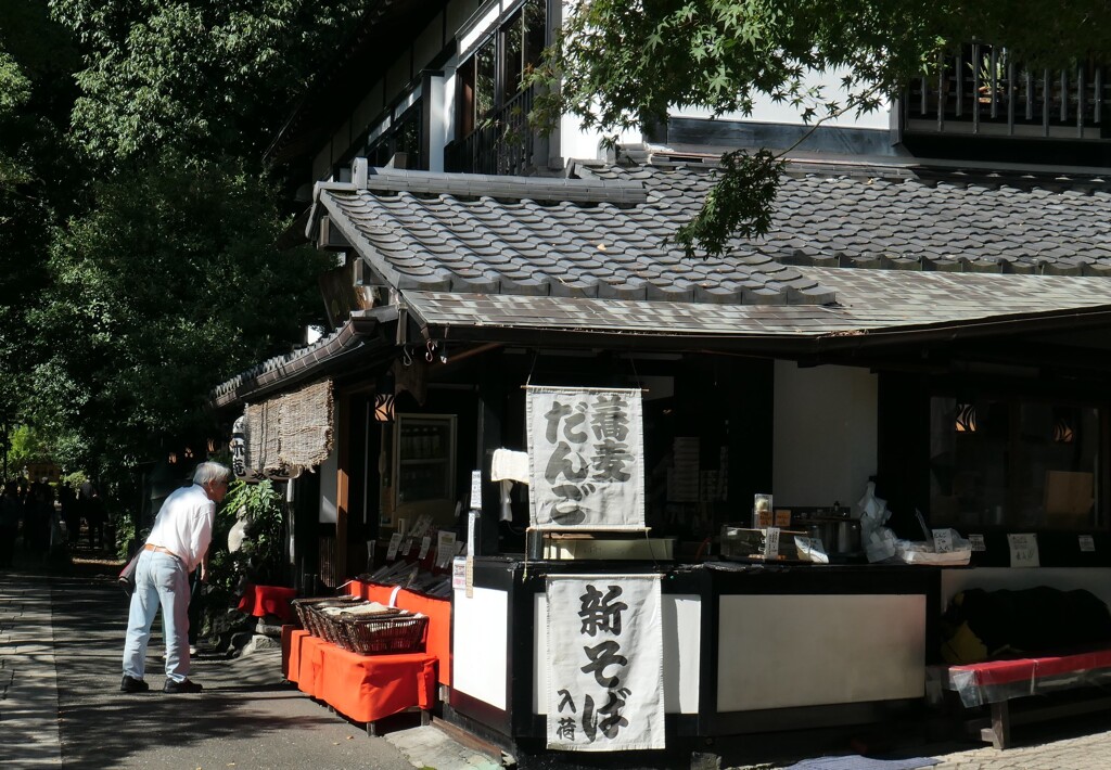 行っちゃいなよ