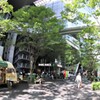魚が出てきた日
