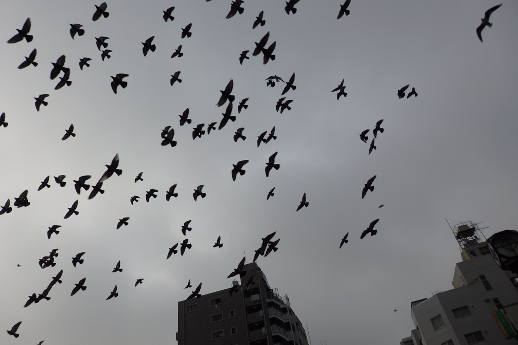 横浜市野毛