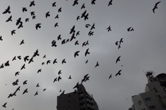 横浜市野毛