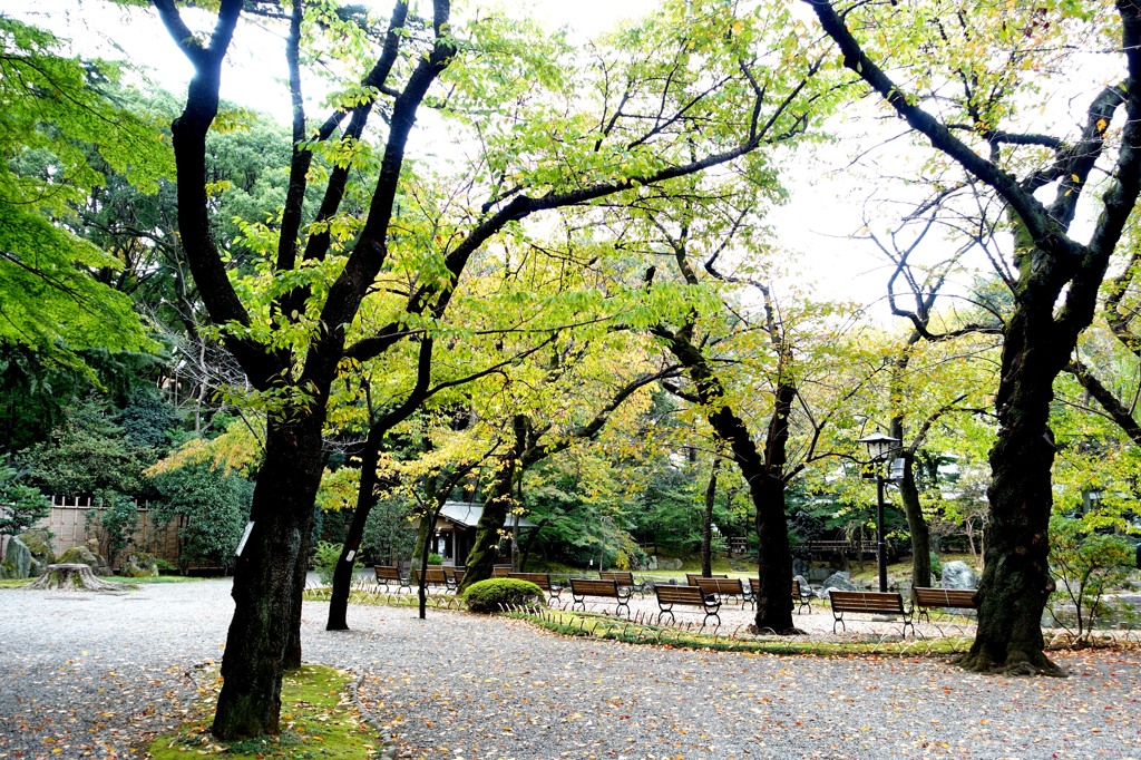 今朝の靖国神社