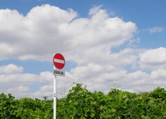 多摩川の青い空
