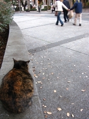 汚いちゃんと美少女