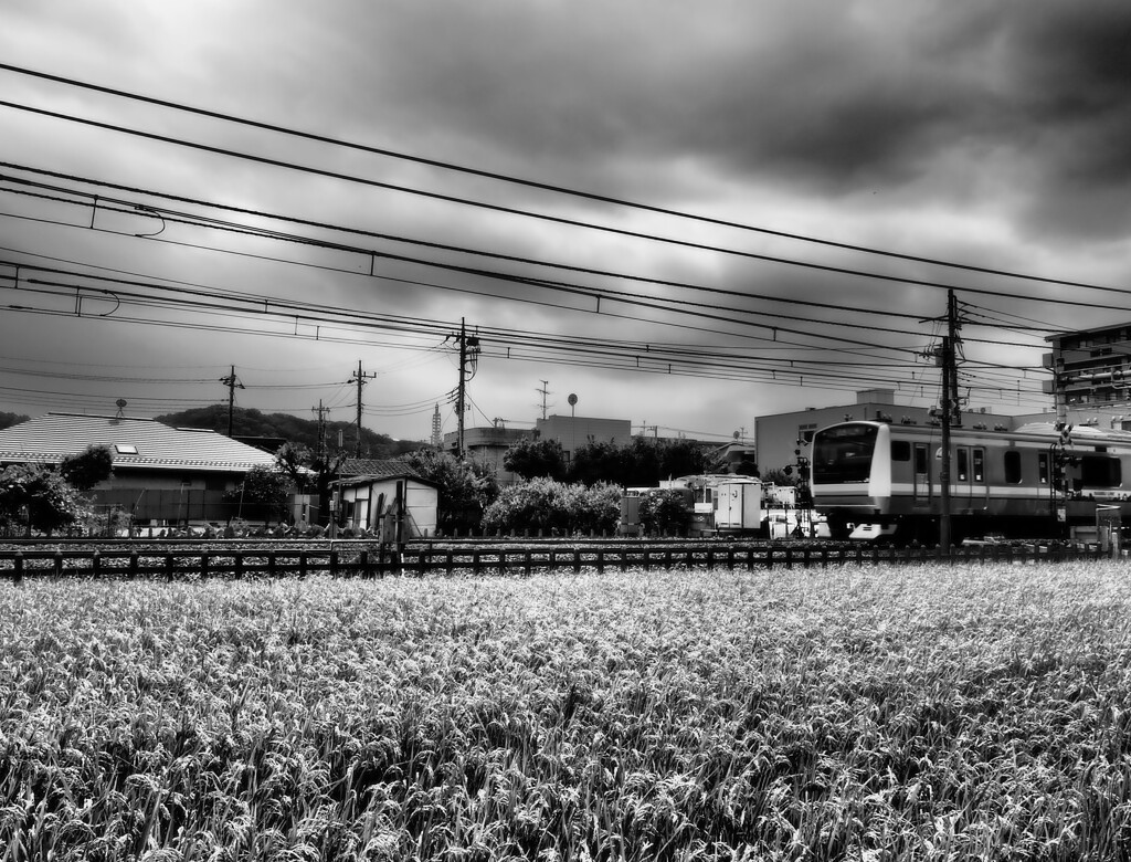 雨雲