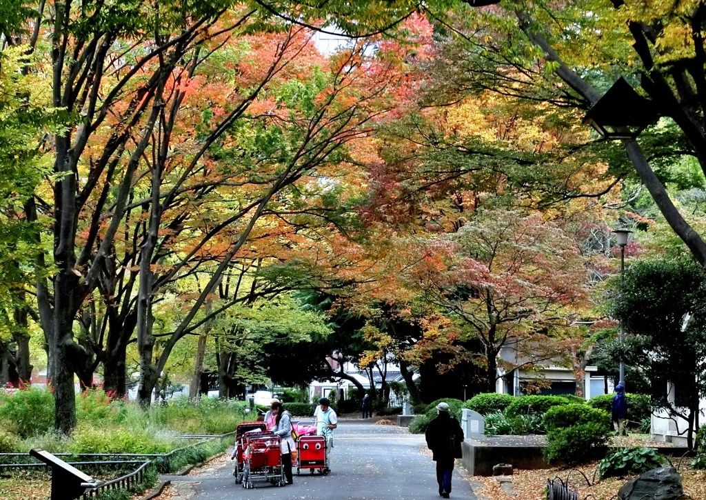 紅葉の日比谷公園