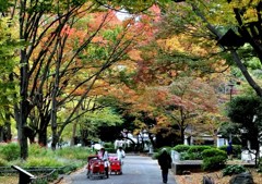 紅葉の日比谷公園
