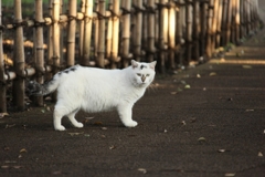 横浜「山手公園」のマンガちゃん