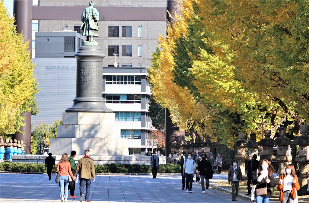 表参道の黄葉