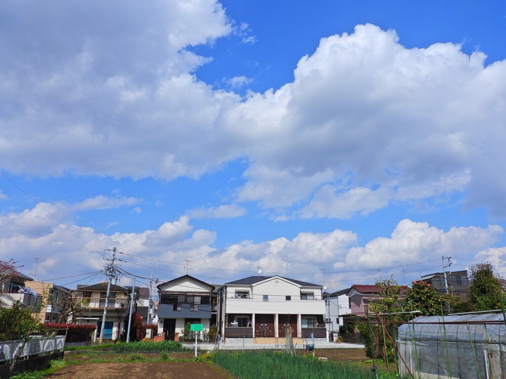 忘れていた空