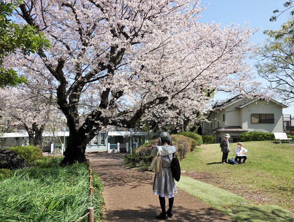 ゴスロリ系女子