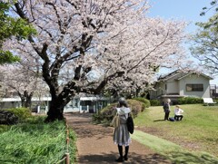 ゴスロリ系女子