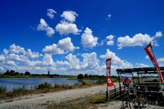 残暑お見舞い申し上げます