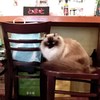オーちゃん
