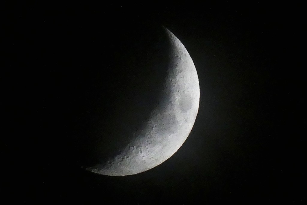 久しぶりの月夜