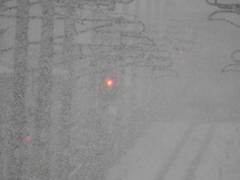 雪隠れ南武線