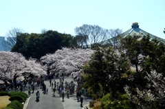 武道館