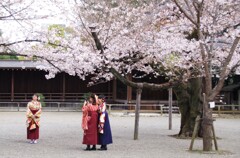 慣れたもんです