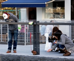 人気独占のウサギちゃん