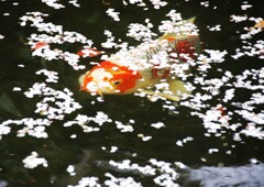 あ～食った食った