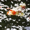 あ～食った食った