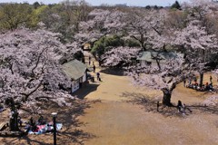 場所取り勝ち組