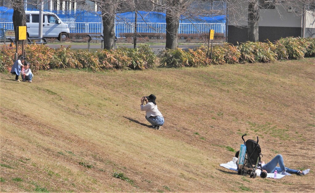 パパ寝る人、ママ撮る人