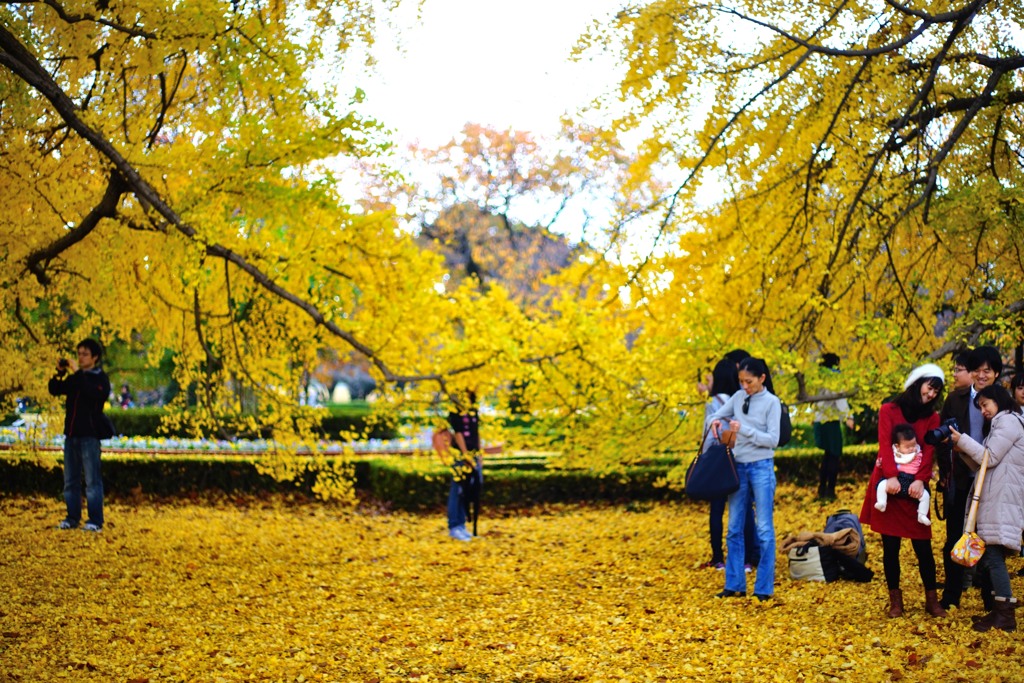 ソニーα7R＋キヤノンNew FD50mmF1.8と行く新宿