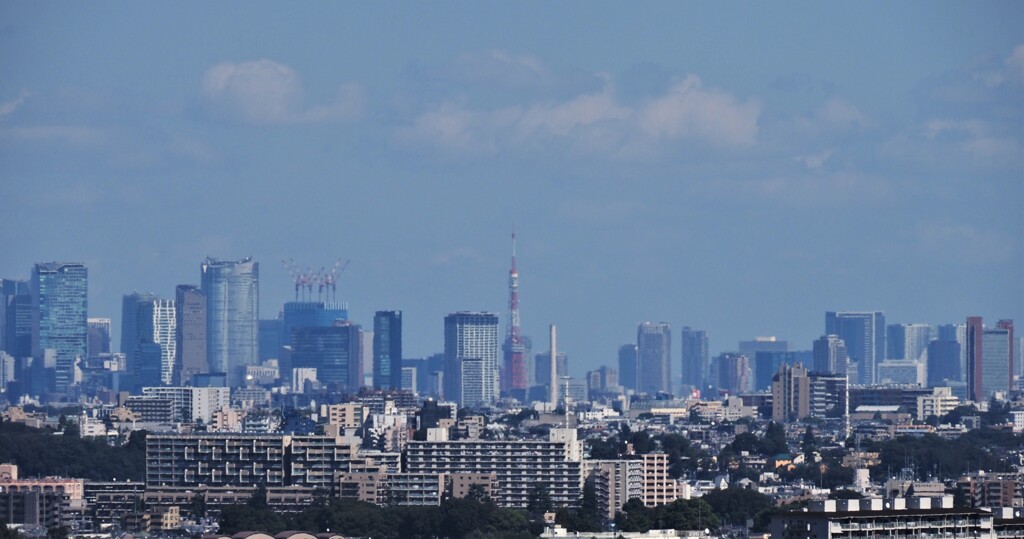 東京タワー、六本木ヒルズタワー