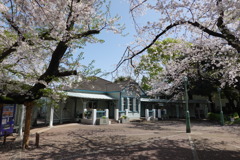 旧山手68番館