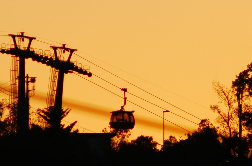 1200㎜の手持ち撮影