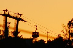 1200㎜の手持ち撮影