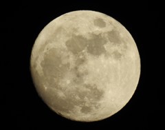 明日は満月