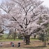 地元再評価